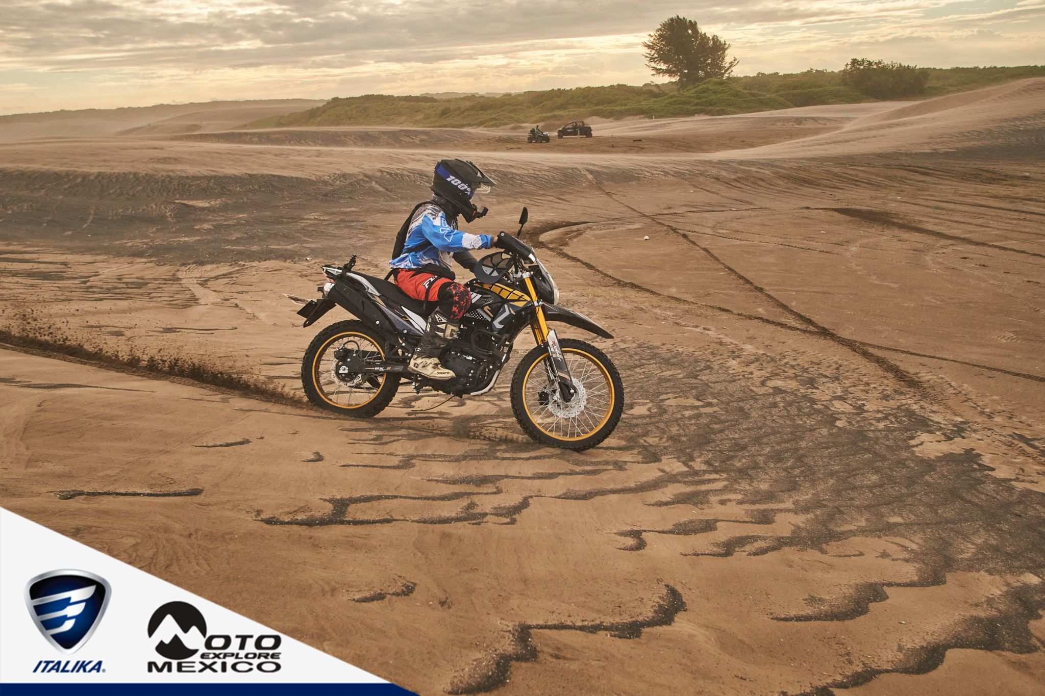 ITALIKA CHACHALACAS D2 374